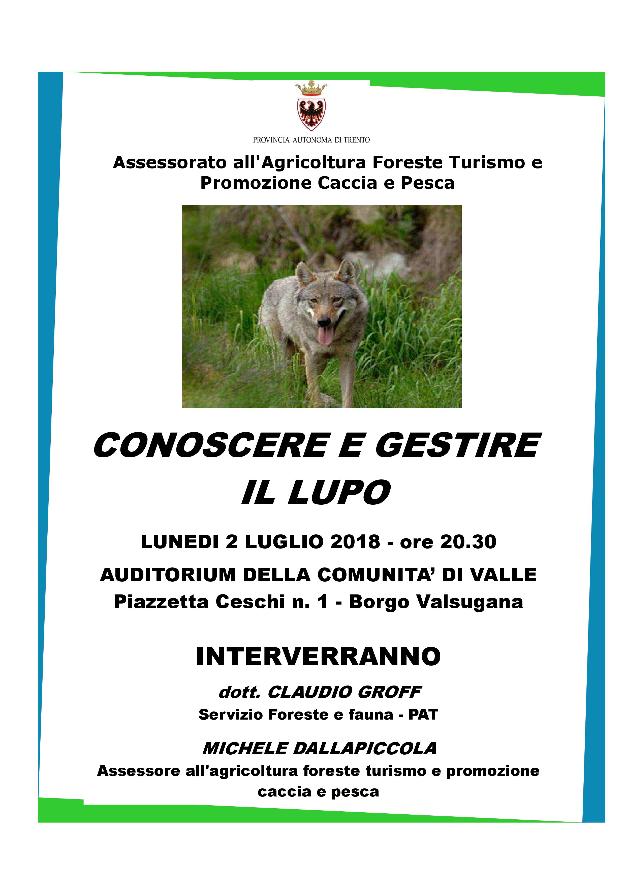 Lupo-in-Trentino-Borgo